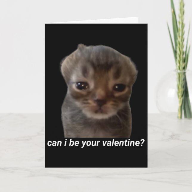 Kan jag vara din valentin rolig katt meme hjärnrot kort (Framsida)