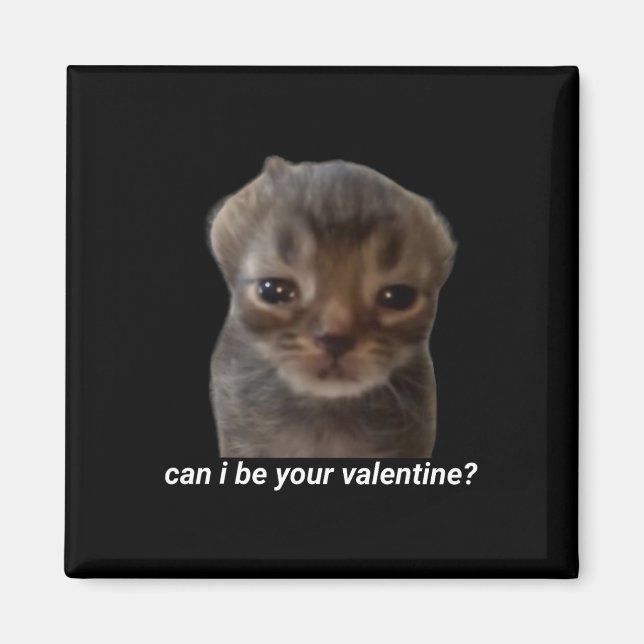 Kan jag vara din valentin rolig katt meme hjärnrot magnet (Framsidan)
