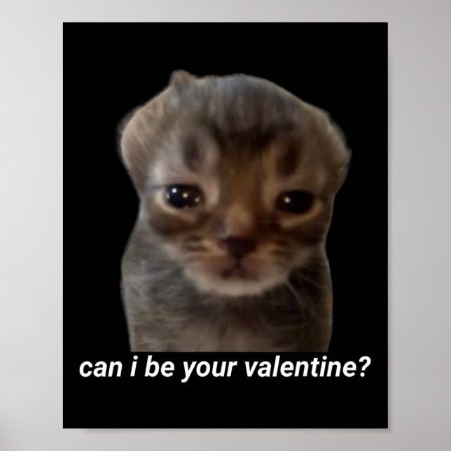 Kan jag vara din valentin rolig katt meme hjärnrot poster (Framsidan)