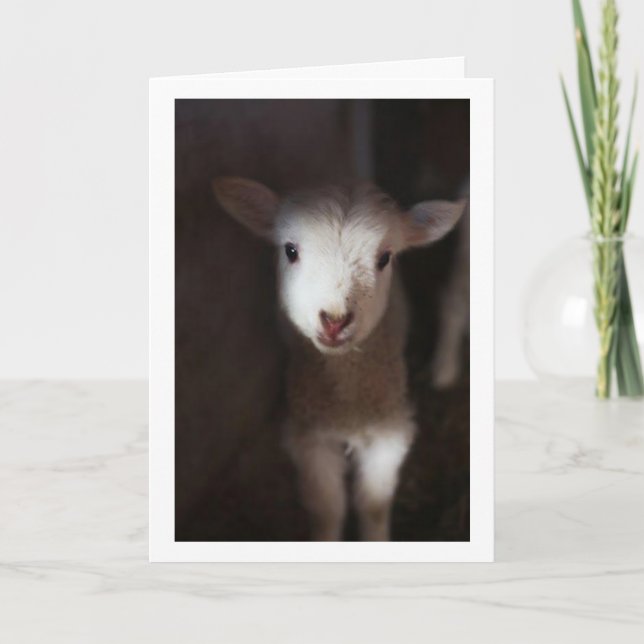 KAN VARA ETT BABY, MEN JAG KAN SÄGA **GOD JUL** KORT (Framsida)