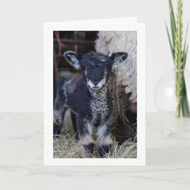 KAN VARA ETT "KID" MEN JAG KAN SÄGA **GOD JUL** KORT (Framsida)