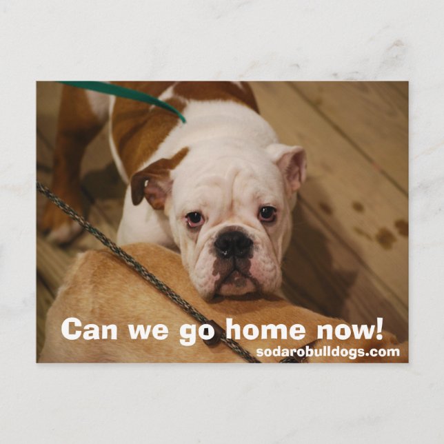 Kan vi åka hem nu? vykort (Framsida)