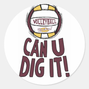 Kan vi Gräva Volleyball? Runt Klistermärke