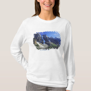 Kanada, Alberta, Banff National Park, Moraine Tee