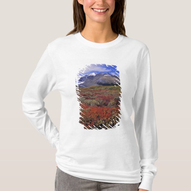 Kanada, Alberta, Banff NP. Blåbär ger T-shirt (Framsida)