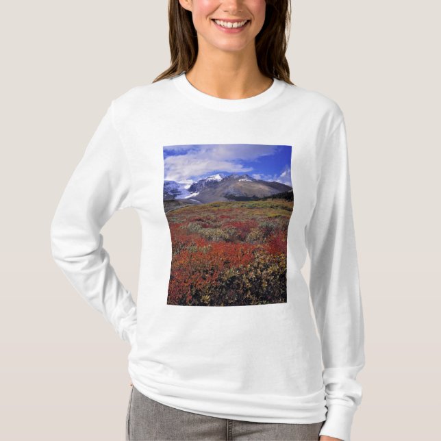 Kanada, Alberta, Banff NP. Blåbär ger Tee (Framsida)