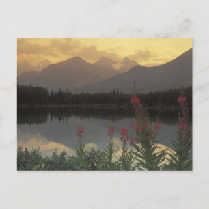 Kanada, Alberta, Banff. Soluppgångsutsikt över Vykort