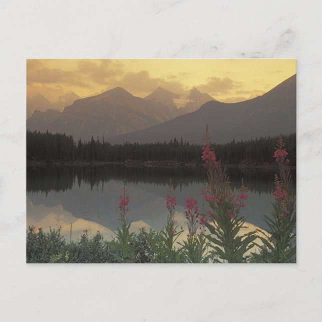 Kanada, Alberta, Banff. Soluppgångsutsikt över Vykort (Framsida)