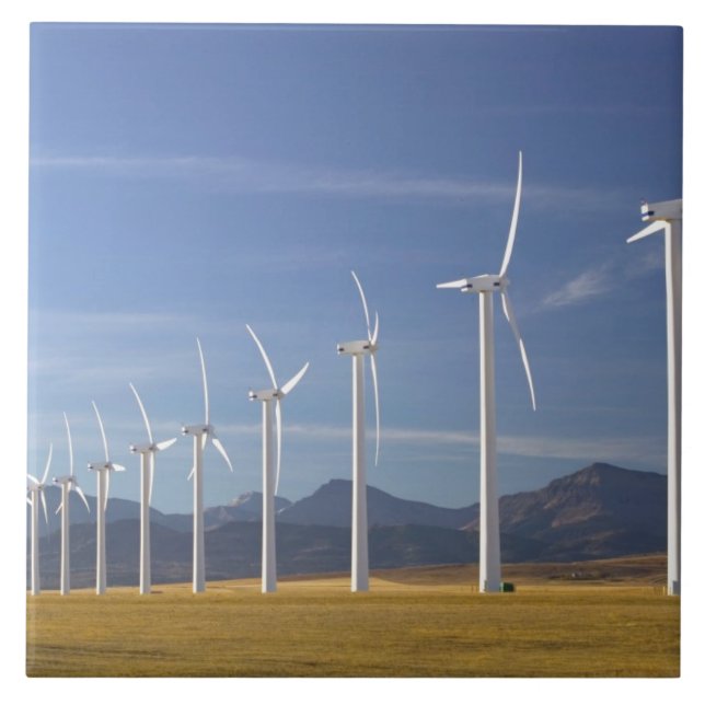 Kanada, Alberta, Crowsnest Pass Area: Cowley Kakelplatta (Framsidan)