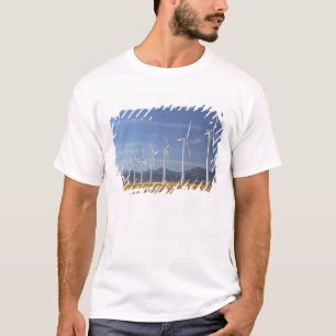 Kanada, Alberta, Crowsnest Pass-området: Cowley Tee Shirt