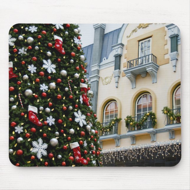 Kanada, Alberta, Edmonton. Väster Edmonton Mall. Musmatta (Framsidan)