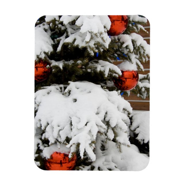 Kanada, Alberta, Jasper, Jasper NP. Fairmont 2 Magnet (Vertikal)