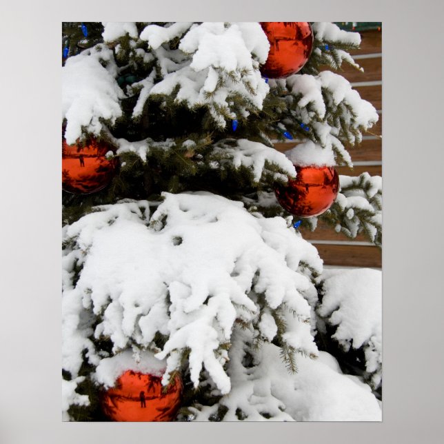 Kanada, Alberta, Jasper, Jasper NP. Fairmont 2 Poster (Framsidan)