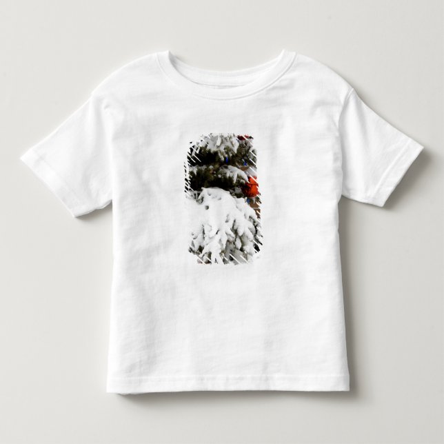 Kanada, Alberta, Jasper, Jasper NP. Fairmont 2 T Shirt (Framsida)