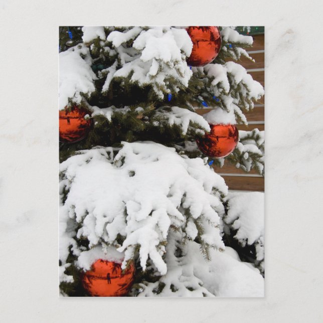 Kanada, Alberta, Jasper, Jasper NP. Fairmont 2 Vykort (Framsida)