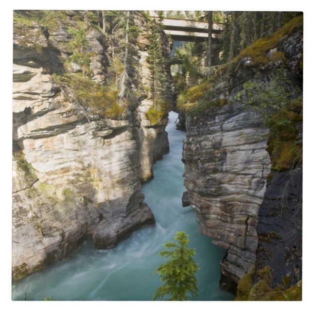 Kanada, Alberta, Jasper National Park, Athabasca 2 Kakelplatta (Framsidan)