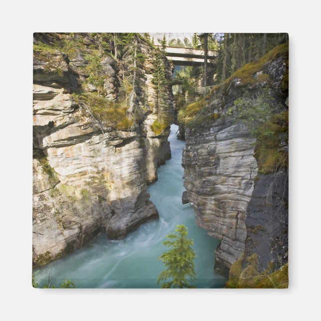 Kanada, Alberta, Jasper National Park, Athabasca 2 Magnet (Framsidan)
