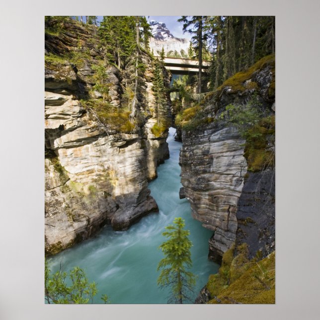 Kanada, Alberta, Jasper National Park, Athabasca 2 Poster (Framsidan)
