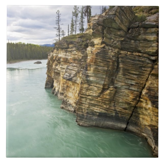 Kanada, Alberta, Jasper National Park, Athabasca Kakelplatta (Framsidan)