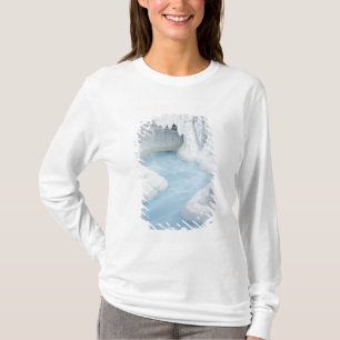 Kanada, Alberta, Jasper National Park. Den T-shirt