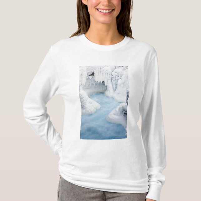 Kanada, Alberta, Jasper National Park. Den T-shirt (Framsida)
