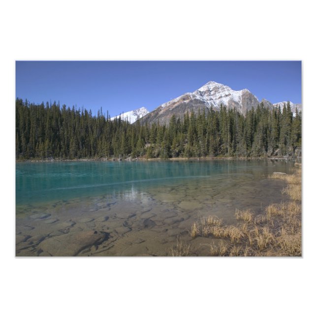 Kanada, Alberta, Jasper National Park: JASPER, Fototryck (Framsidan)