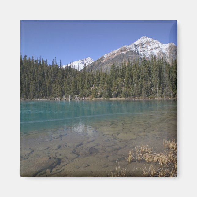 Kanada, Alberta, Jasper National Park: JASPER, Magnet (Framsidan)