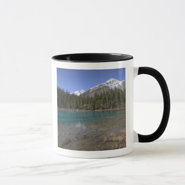 Kanada, Alberta, Jasper National Park: JASPER, Mugg (Höger)