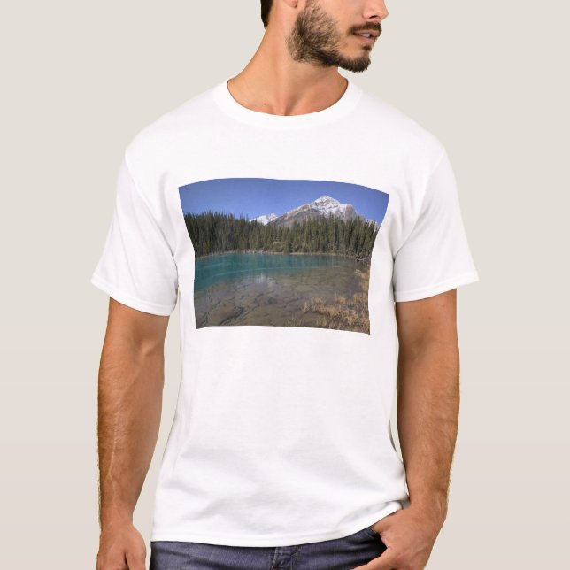 Kanada, Alberta, Jasper National Park: JASPER, T-shirt (Framsida)