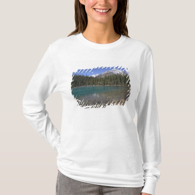 Kanada, Alberta, Jasper National Park: JASPER, T-shirt (Framsida)