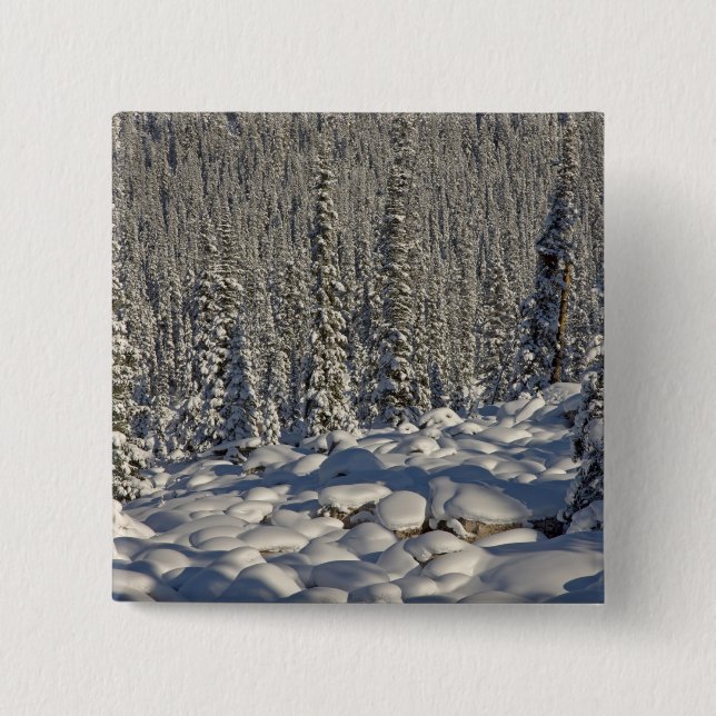 Kanada, Alberta, Jasper National Park. Knapp (Framsida)