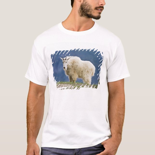 Kanada, Alberta, Jasper National Park, T-shirt (Framsida)