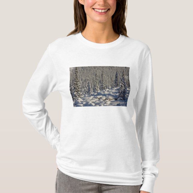 Kanada, Alberta, Jasper National Park. Tee (Framsida)
