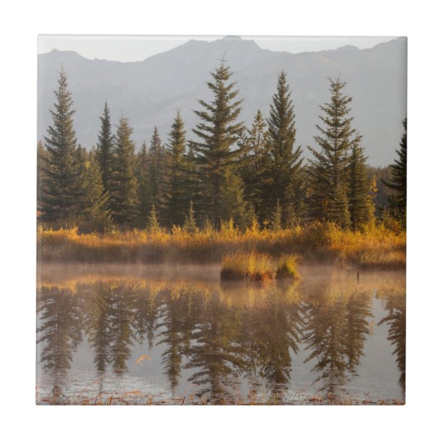 Kanada, Alberta, Jasper Nationalpark Kakelplatta (Framsidan)