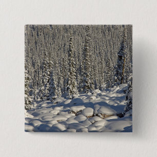 Kanada, Alberta, Jasper nationalpark. Knapp