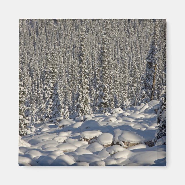 Kanada, Alberta, Jasper nationalpark. Magnet (Framsidan)