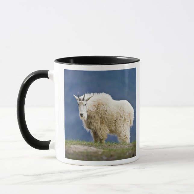 Kanada, Alberta, Jasper Nationalpark, Mugg (Vänster)
