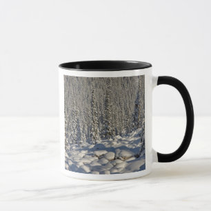 Kanada, Alberta, Jasper nationalpark. Mugg