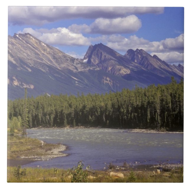 Kanada, Alberta, Jasper Nationalpark. Stor Kakelplatta (Framsidan)