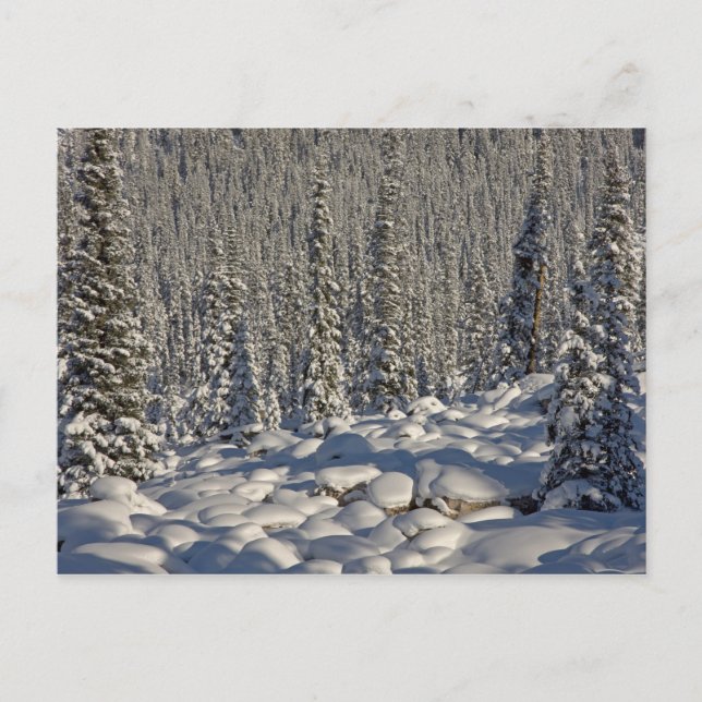 Kanada, Alberta, Jasper nationalpark. Vykort (Framsida)