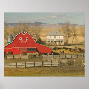 Kanada, Alberta, Pincher Bäck: Red Barn & Ranch Poster
