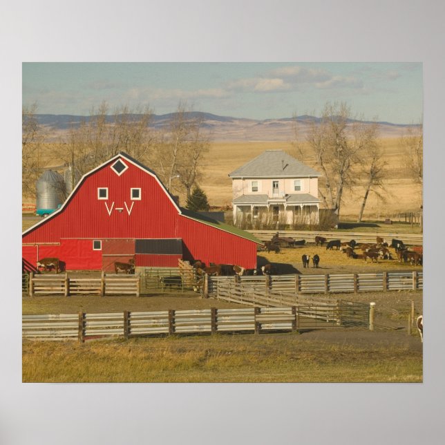 Kanada, Alberta, Pincher Bäck: Red Barn & Ranch Poster (Framsidan)