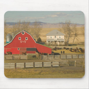 Kanada, Alberta, Pincher Creek: Röd lada och ranch Musmatta