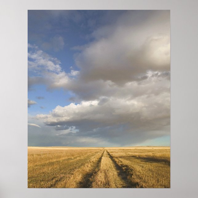 Kanada, Alberta, Stående: Landskap med Poster (Framsidan)