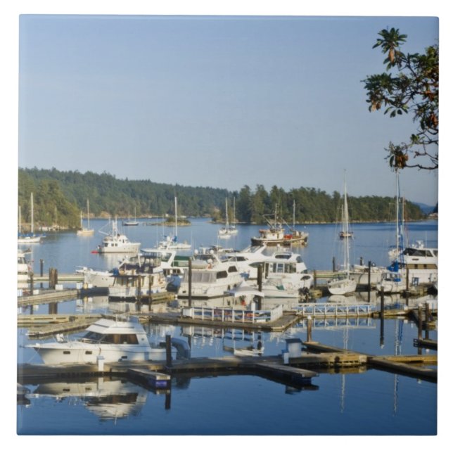 Kanada, BC, Gulf Islands, Salt Spring Island, Kakelplatta (Framsidan)