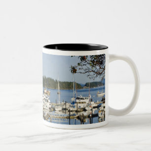 Kanada, BC, Gulf Islands, Salt Spring Island, Två-Tonad Mugg