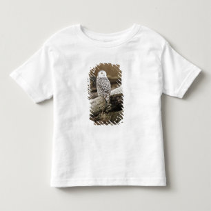 Kanada, Boundary Bay, Snöuggla T Shirt