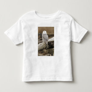 Kanada, Boundary Bay, Snöuggla Tee Shirt
