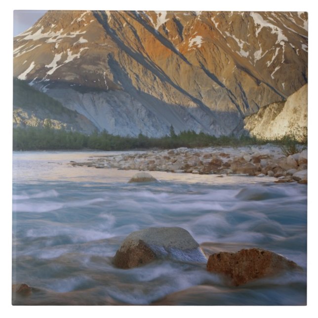 Kanada, British Columbia, Alsek River Valley. Kakelplatta (Framsidan)