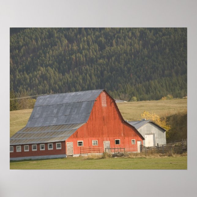 KANADA, British Columbia, Enderby. Rött lada / Poster (Framsidan)